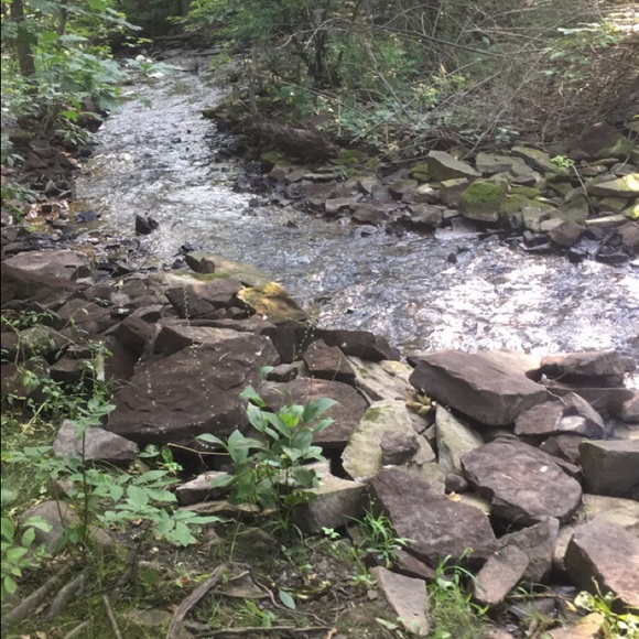 Meet your Posher, Luke - Picture 1 of 1