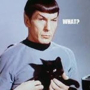 Meet your Posher, Patty