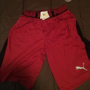 Puma Athletic Shorts