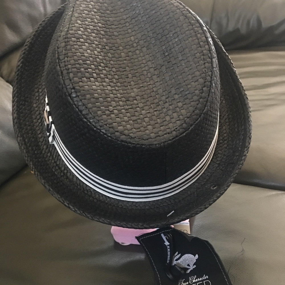 Fedora Hat 🦋 💜🎩 NWT Peter Grimm Sturdy Unisex - Picture 3 of 4