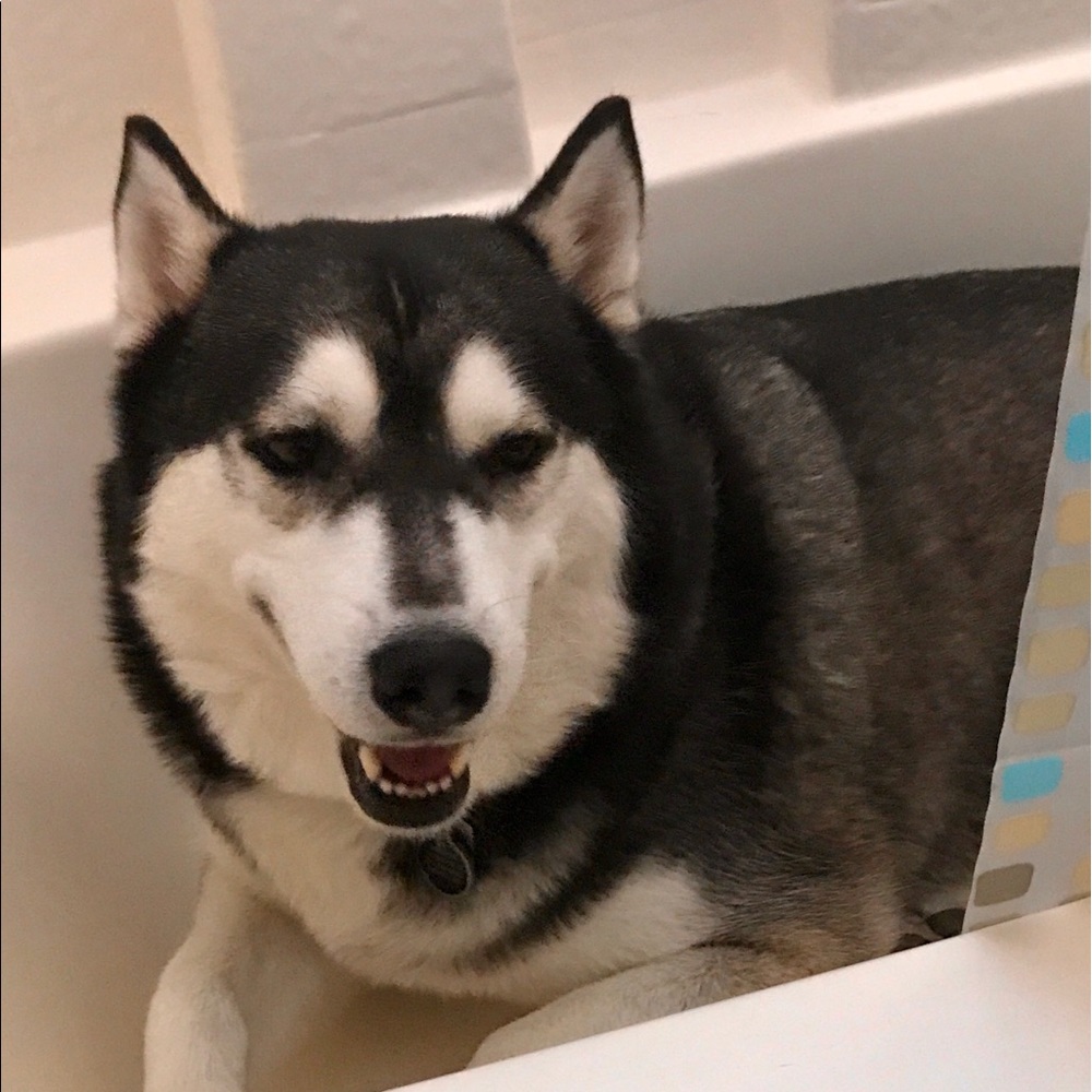 Meet your Posher, Andrea