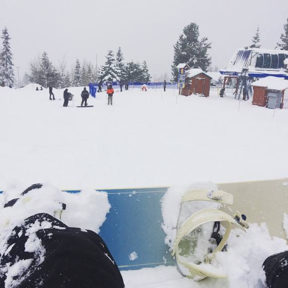 Meet your Posher, Nick - Picture 1 of 1