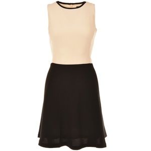 LAUREN RALPH LAUREN ColorBlock Cream Black Dress
