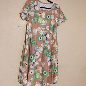 Gorgeous Floral Lularoe Carly Dress