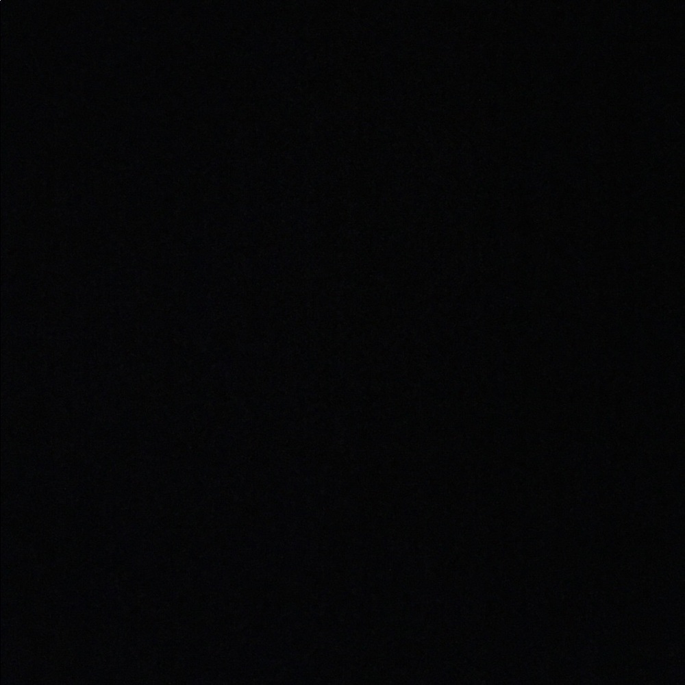 Meet your Posher, Reagan