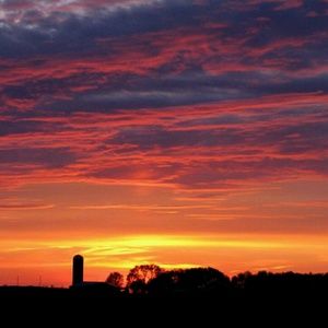 Meet your Posher, Kyla