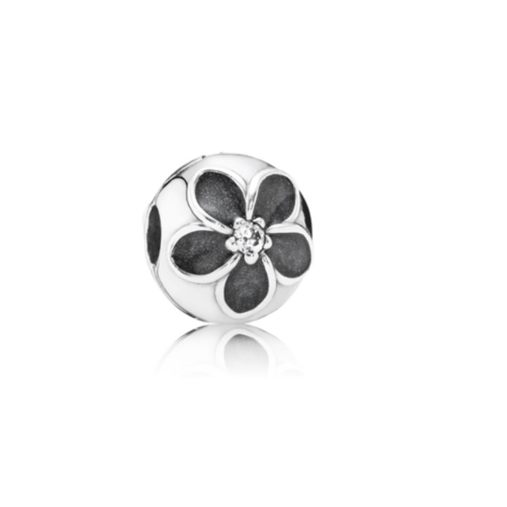 Pandora charms