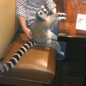 Meet your Posher, Adam