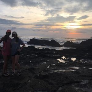 Meet your Posher, Bailey