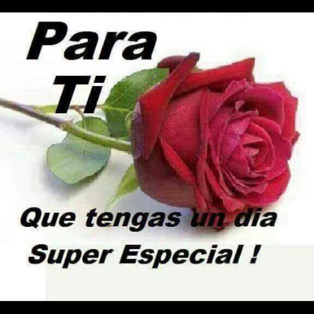 Meet your Posher, Griselda