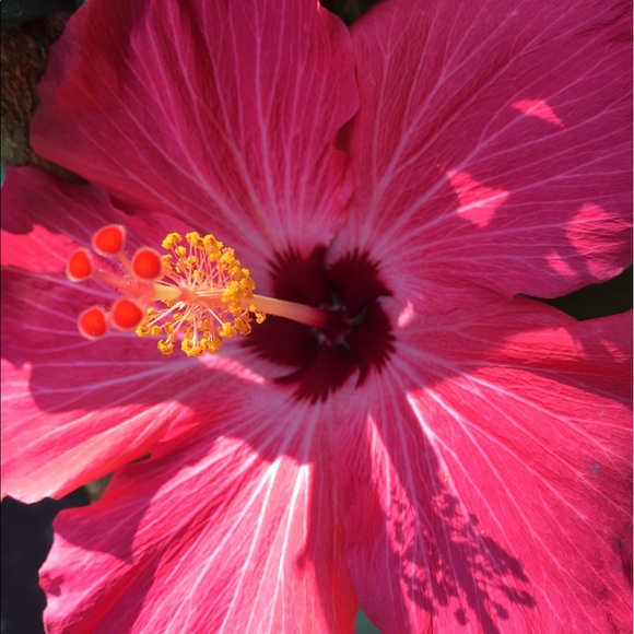 Meet your Posher, Joann - Picture 1 of 1