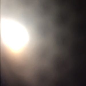 Meet your Posher, Dalton