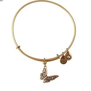 ⚜️bundle⚜️ alex and ani, 🗝 to my 💙 and 🦋 bangle