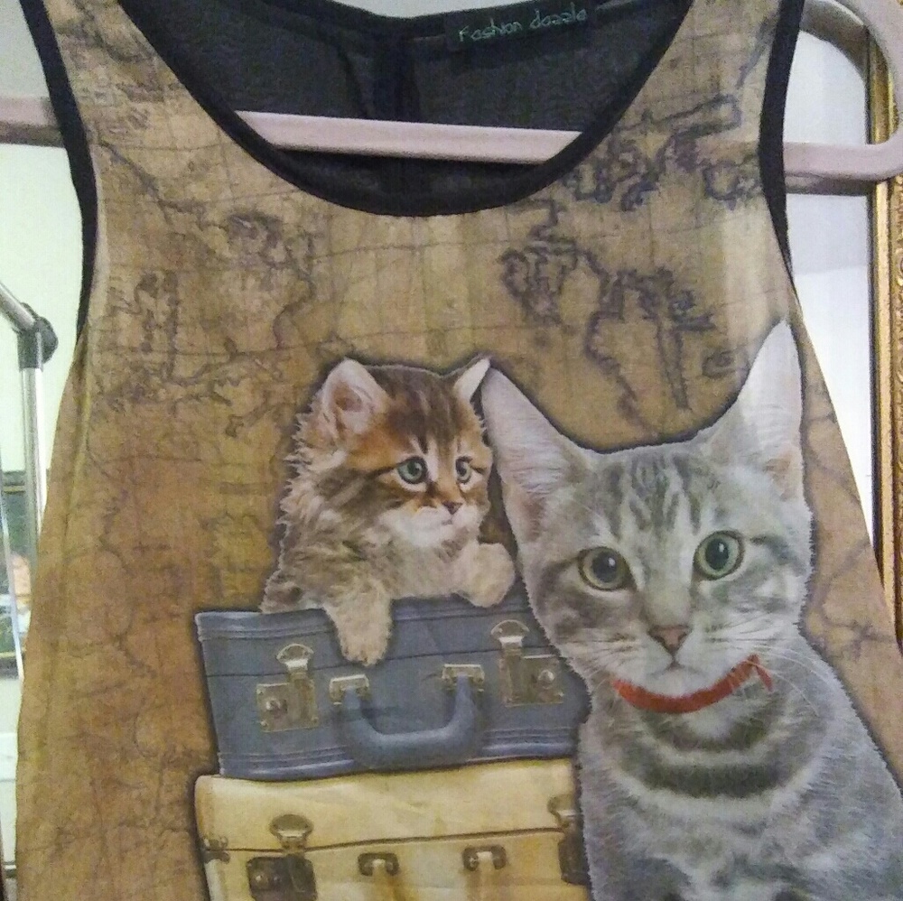 Kitty sheer top