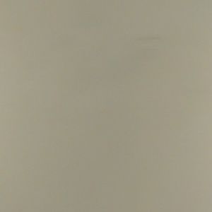 Meet your Posher, Mishani