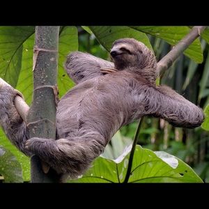 Meet your Posher, Brandon