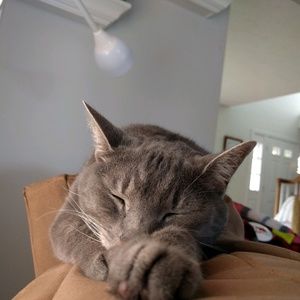 Meet your Posher, Madison