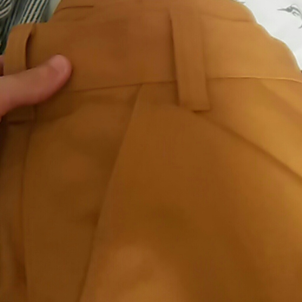 Carpenter duck pants