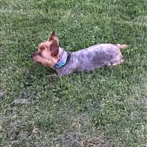 Meet your Posher, Nathan