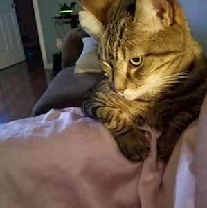 Meet your Posher, Emma