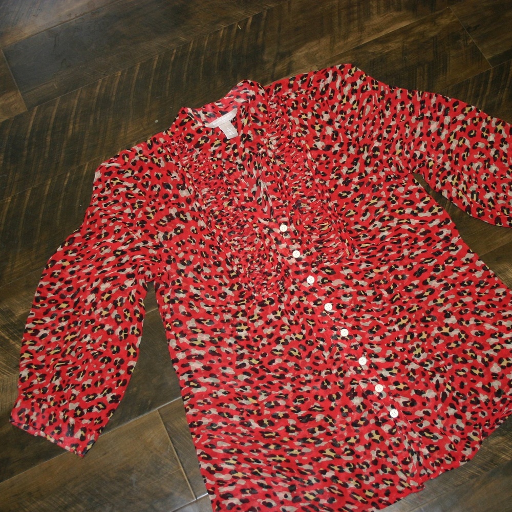 Banana Republic Sheer Blouse