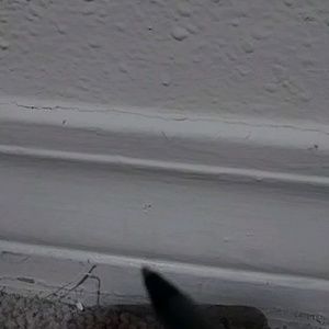 Meet your Posher, Jayce