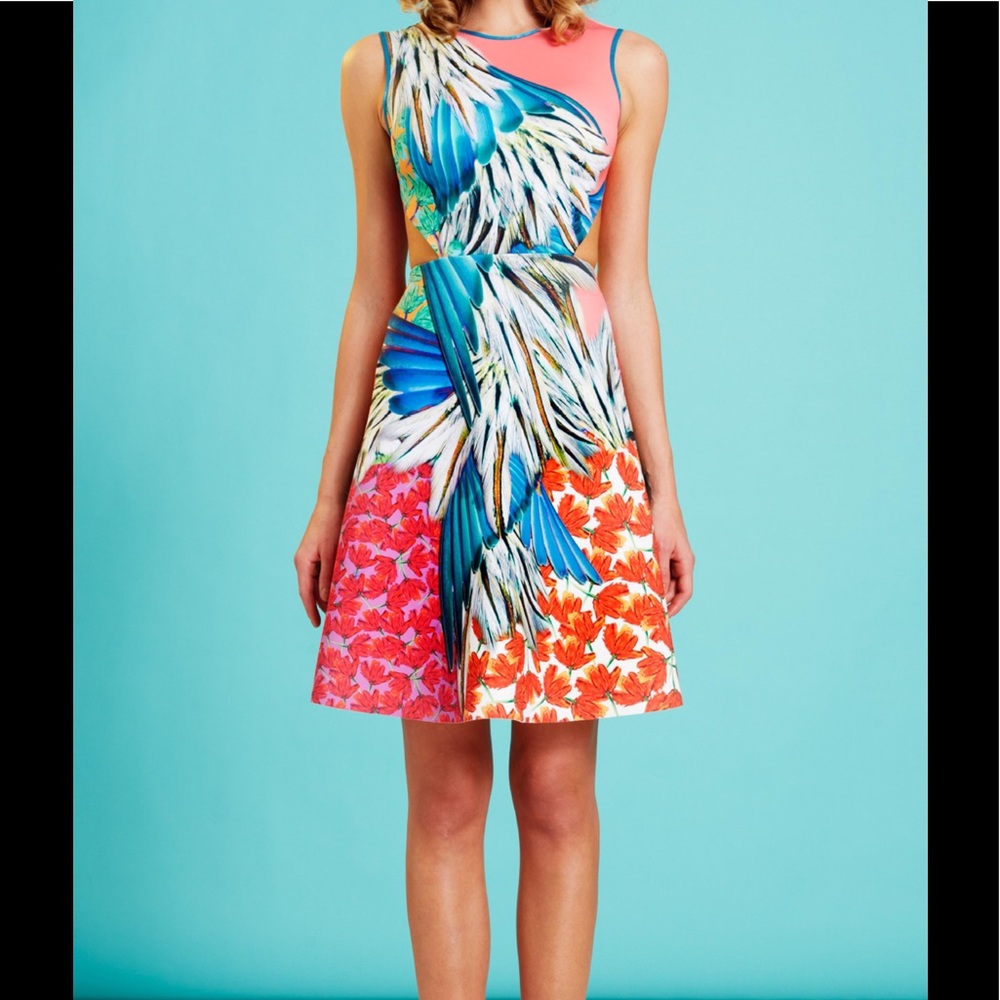 NEW w/tags Clover Canyon Carnival dress w/ cutouts
