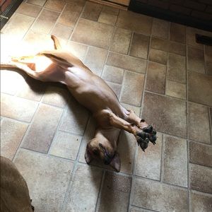 Meet your Posher, Jaci