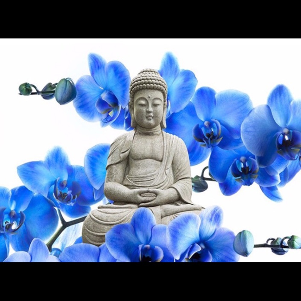 Meet your Posher, Assunta