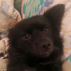 Meet your Posher, Stefanie