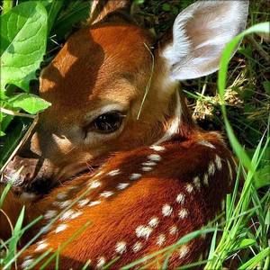 Meet your Posher, Edward