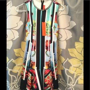 NEW Clover Canyon rose stripe dress XS