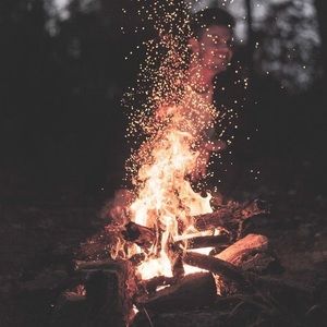 Meet your Posher, Savannah