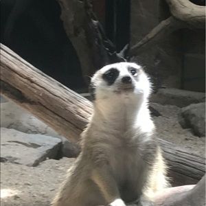 Meet your Posher, Valentina