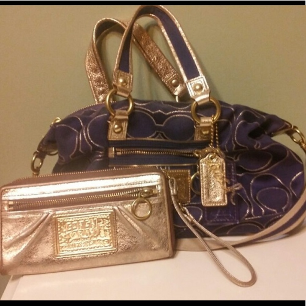 Coach poppy lurex satchel set