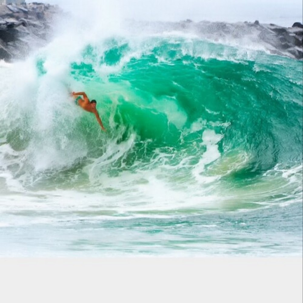 Meet your Posher, Shane