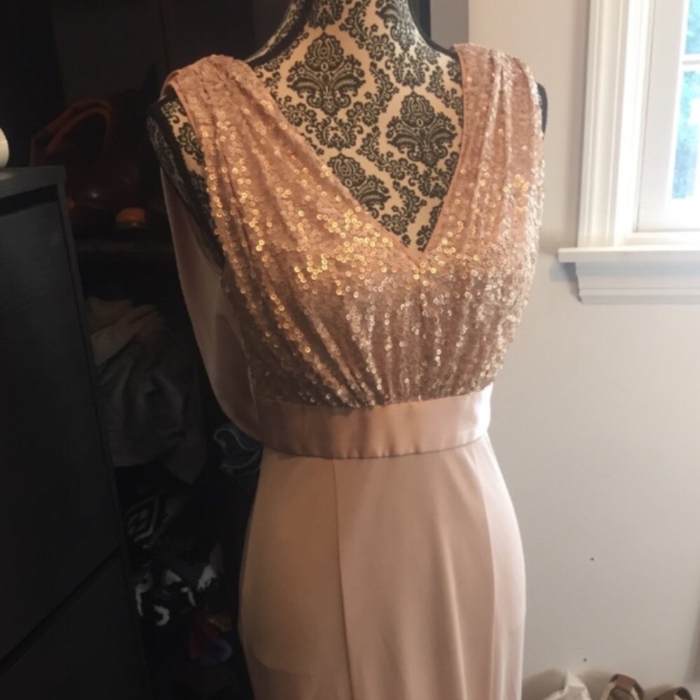 Blush Pink Vera Wang Formal Gown