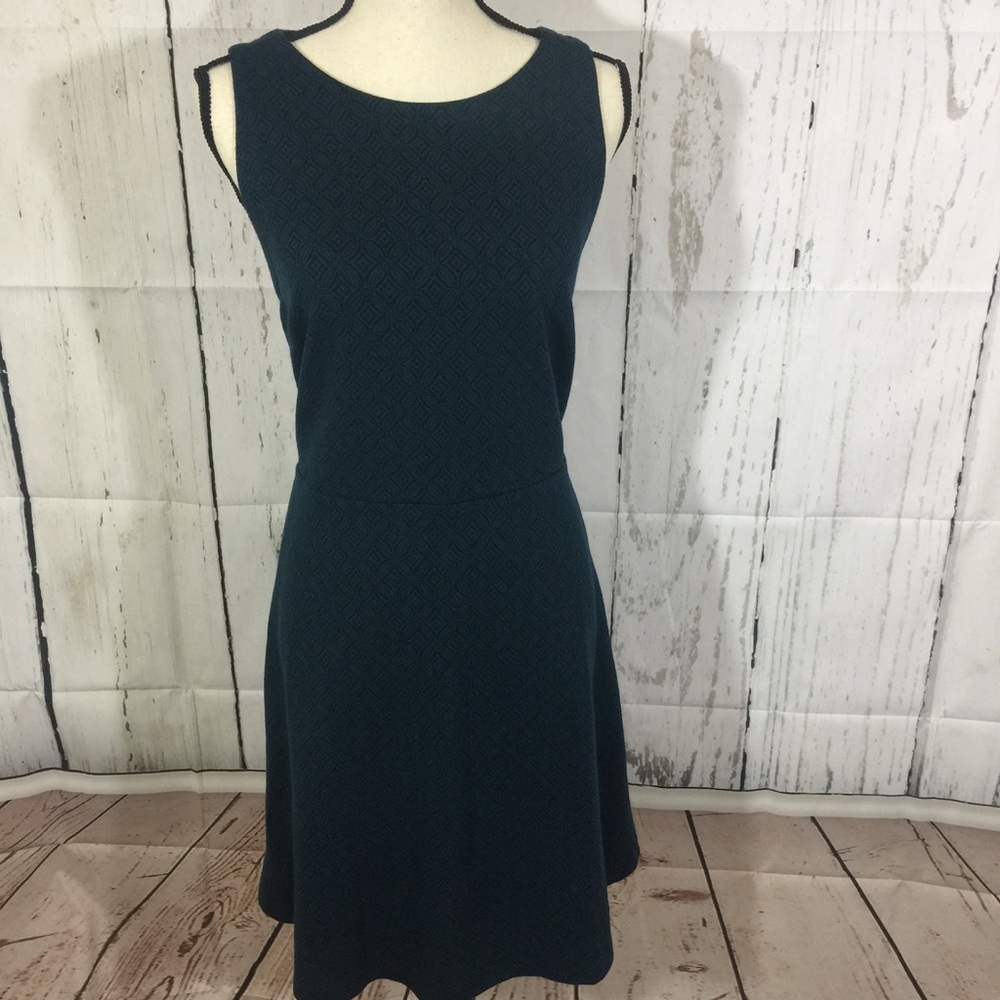 Ann Taylor Loft Printed Dress