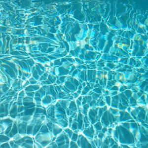 Meet your Posher, Cecilia