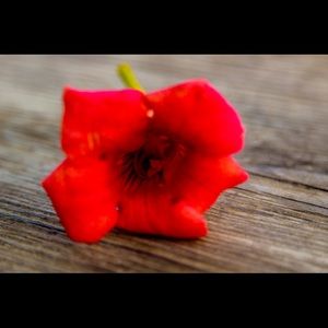 Meet your Posher, Daniel