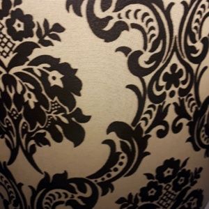 Meet your Posher, Lily