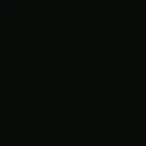 Meet your Posher, Laqeshia