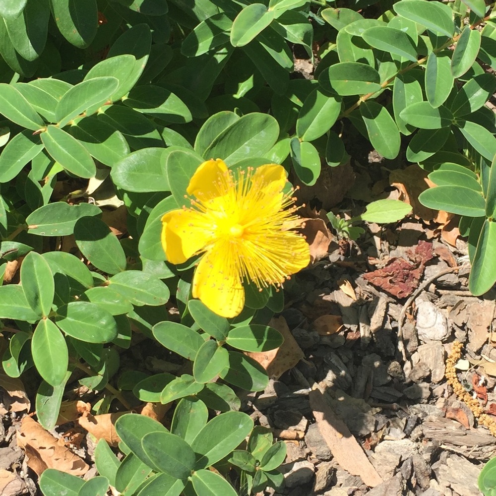 Meet your Posher, Chloe