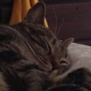 Meet your Posher, Kathleen