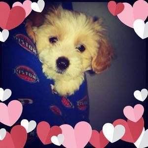 Meet your Posher, Tammie