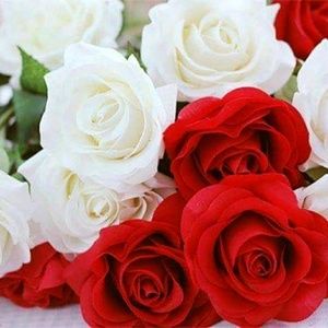 Meet your Posher, Yulissa