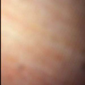 Meet your Posher, Clinton