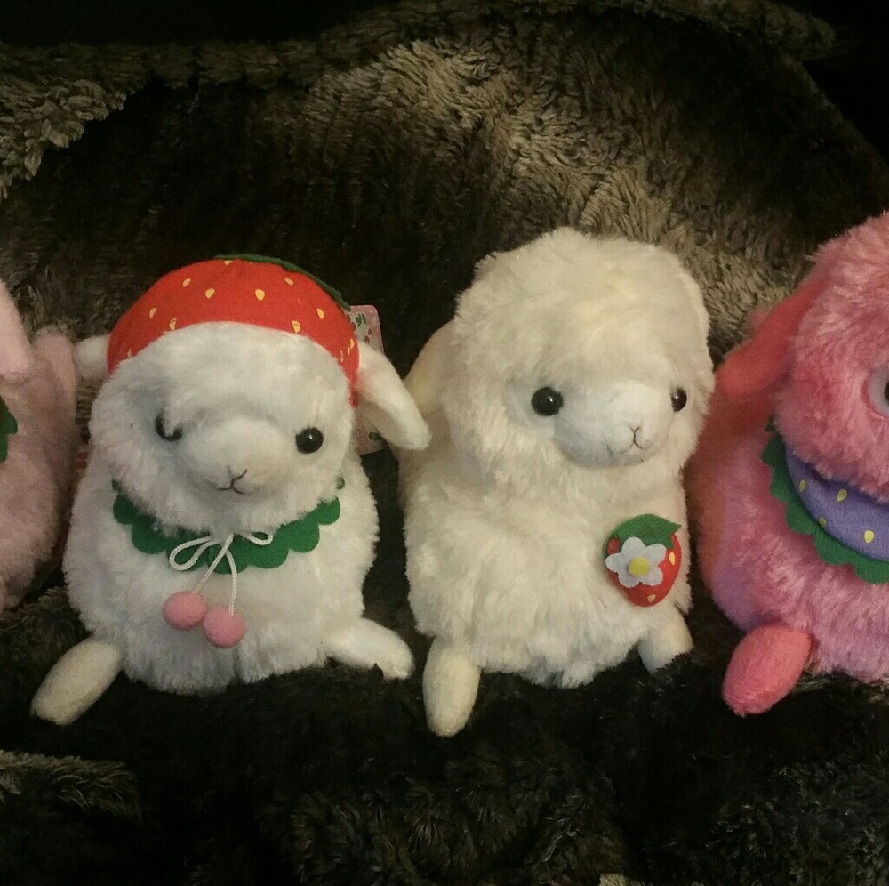 Genuine Amuse Rare Love Berry Alpacasso Dolls