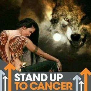 Meet your Posher, Donna m