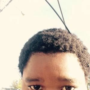 Meet your Posher, Dalion